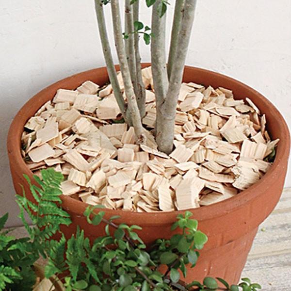 消臭 ヒノキ HINOKI CHIPS チップ 2L （ ウッドチップ 土かくし