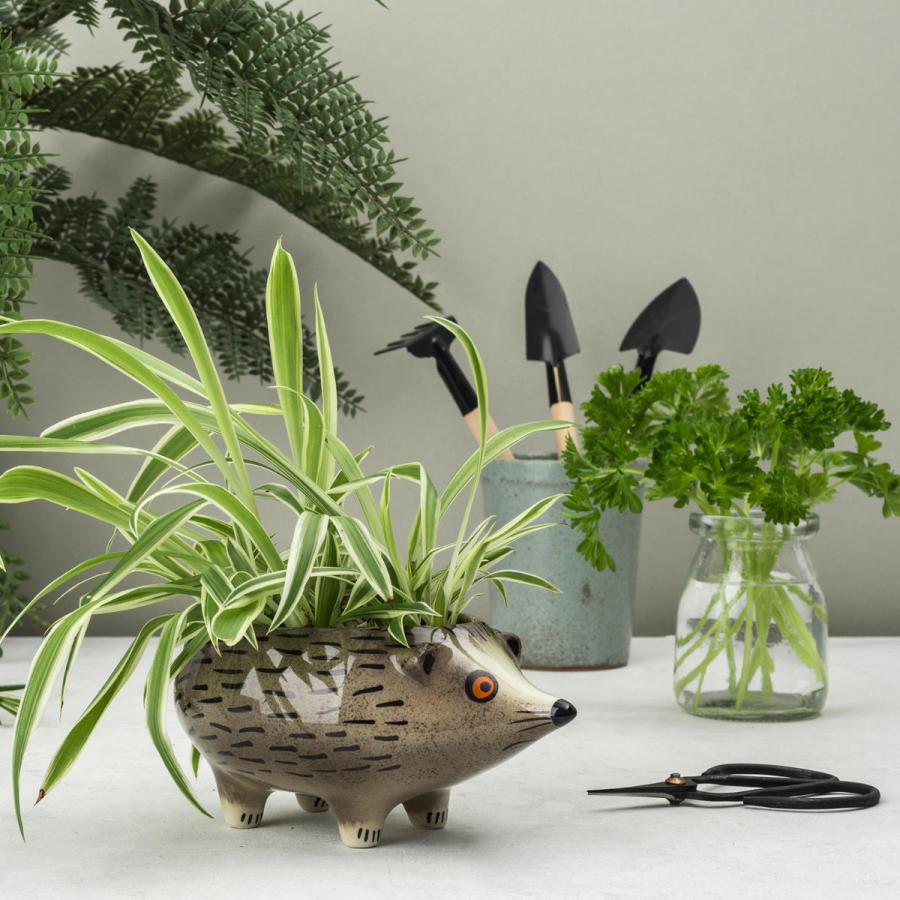 【ミニレジンポット：はりねずみDS】植木鉢 多肉植物 寄せ植えプラ鉢プレステラ ミニレジンポット：はりねずみDS】植木鉢 多肉植物 寄せ植えプラ鉢