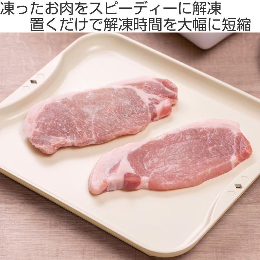 解凍プレート　クイック　BOX 10分解凍+粗熱取り+送風ファン+除菌　時短 解凍プレート クイック BOX 10分解凍+粗熱取り+送風ファン+除菌 時短