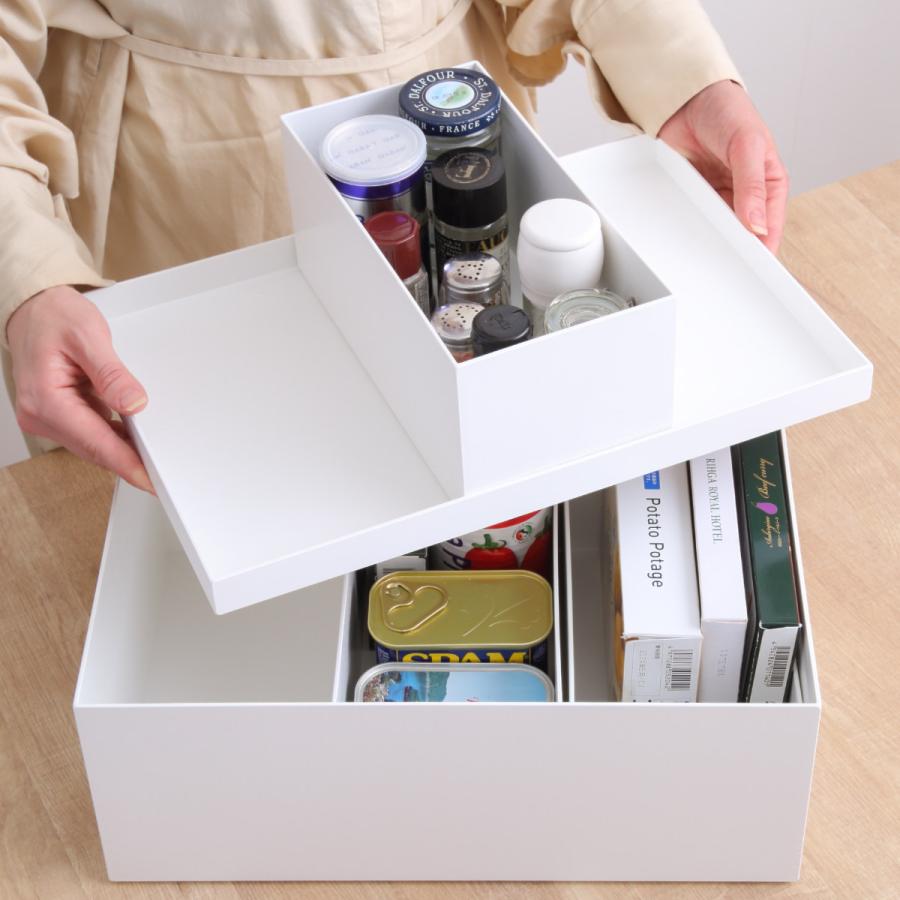 Like-it（ライクイット） トレー タイディアップボックス T3725 収納