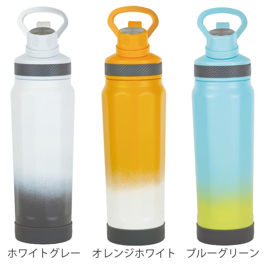和平フレイズ 水筒 530ml フォルテック キャリングボトル （ ボトル