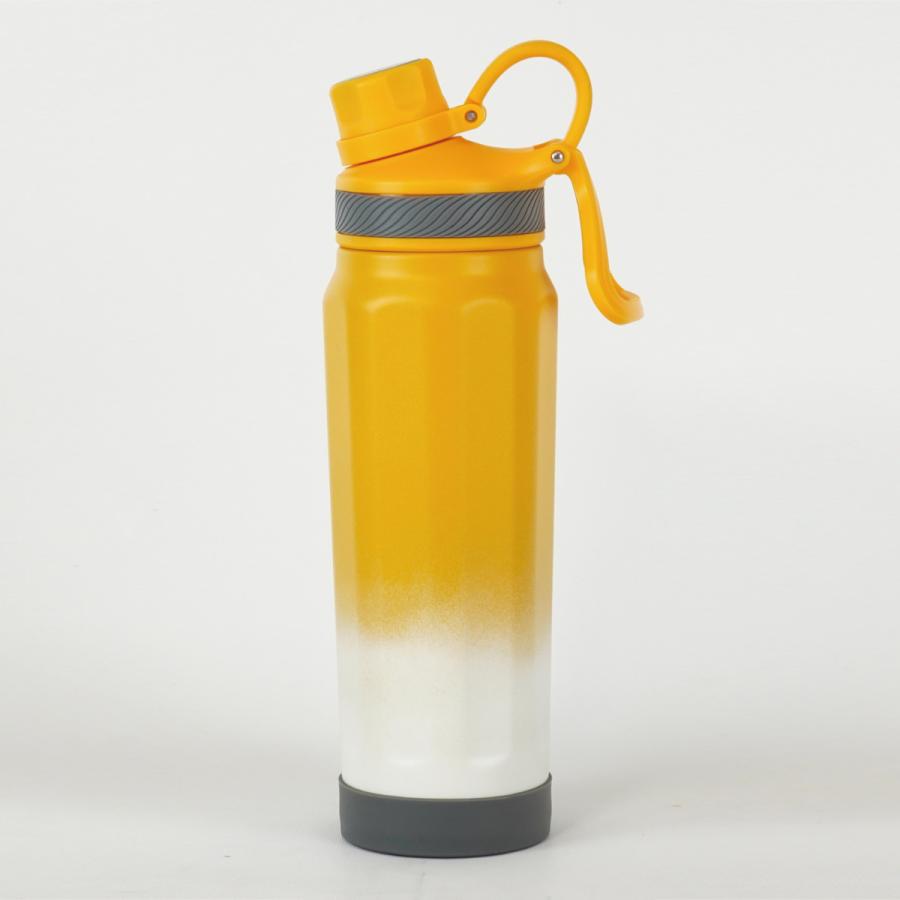 和平フレイズ 水筒 530ml フォルテック キャリングボトル （ ボトル