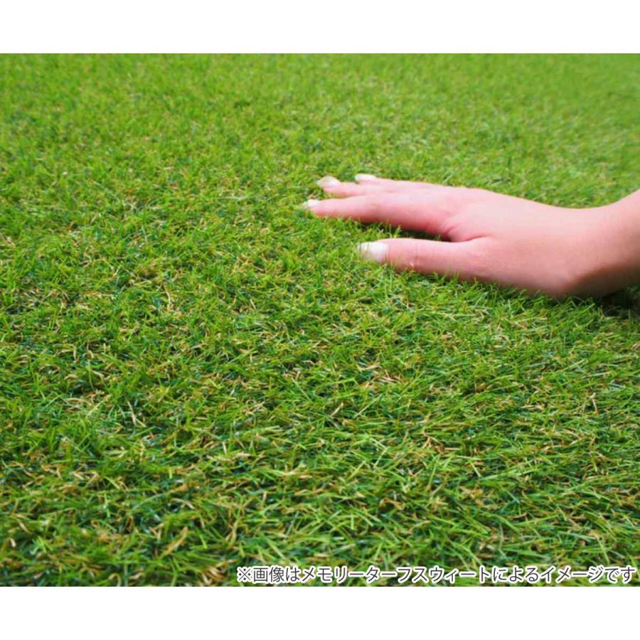 unionbiz（ユニオンビズ） 人工芝 メモリーターフ 1m×10m 芝丈25mm 1