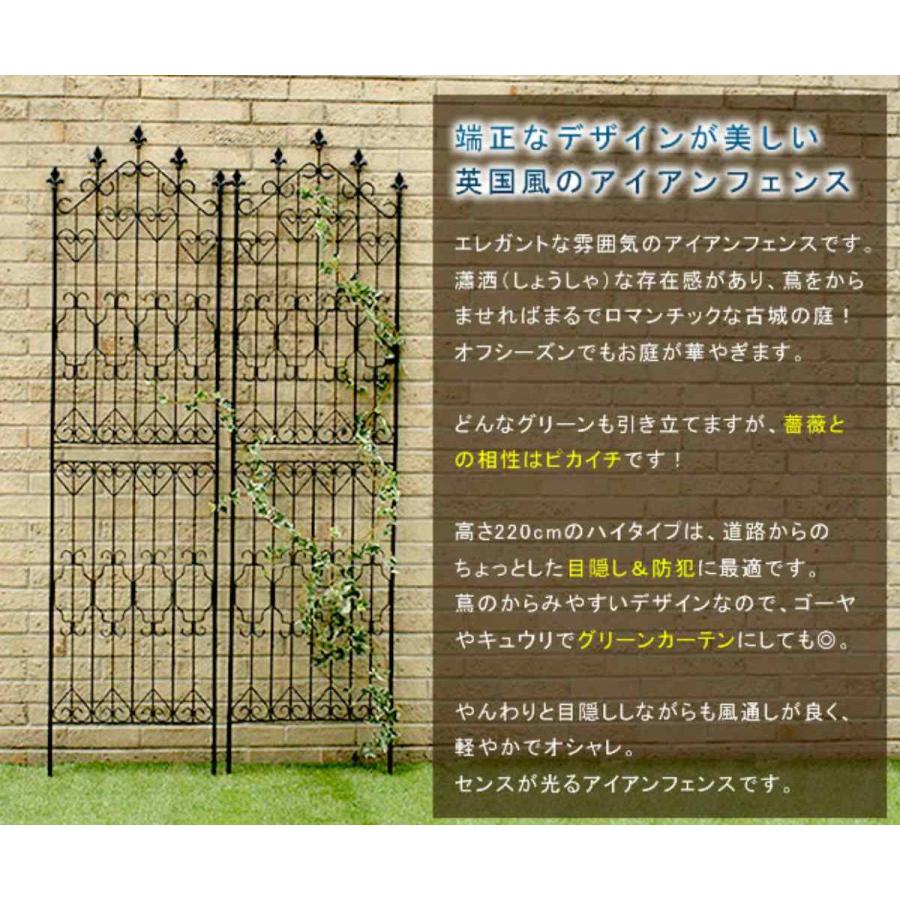 フェンス アイアンフェンス 高さ220cm ハイタイプ 2枚組 （ アイアン