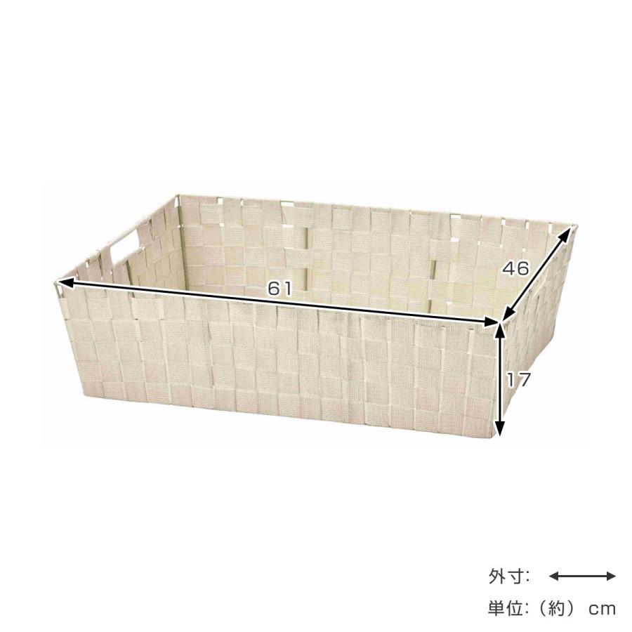 ちどり産業 収納ボックス PPバスケット 浅型 収納 特大 幅61