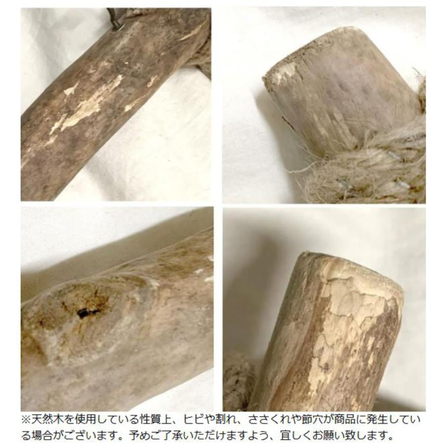 HABITER フック フロッタン ハンギングハンガー ( ハンギング HABITER フック フロッタン ハンギングハンガー ( ハンギング