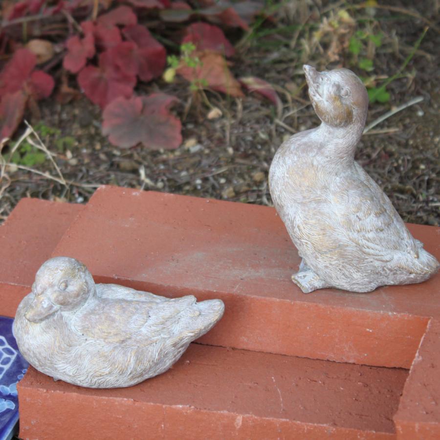 オブジェ デコール セメントオブジェ バード L （ 置物 あひる アヒル