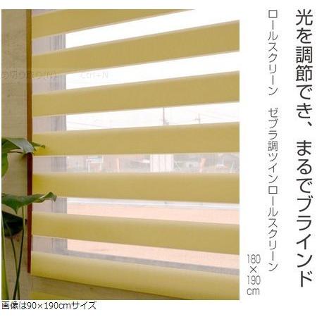 ロールスクリーン ロールスクリーン ゼブラ調ツインロールスクリーン 180×190cm （ 調光
