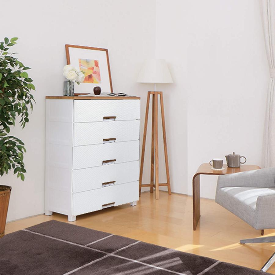 Fits チェスト フィッツプラス メッシュ 5段 幅75×奥行41×高さ105cm