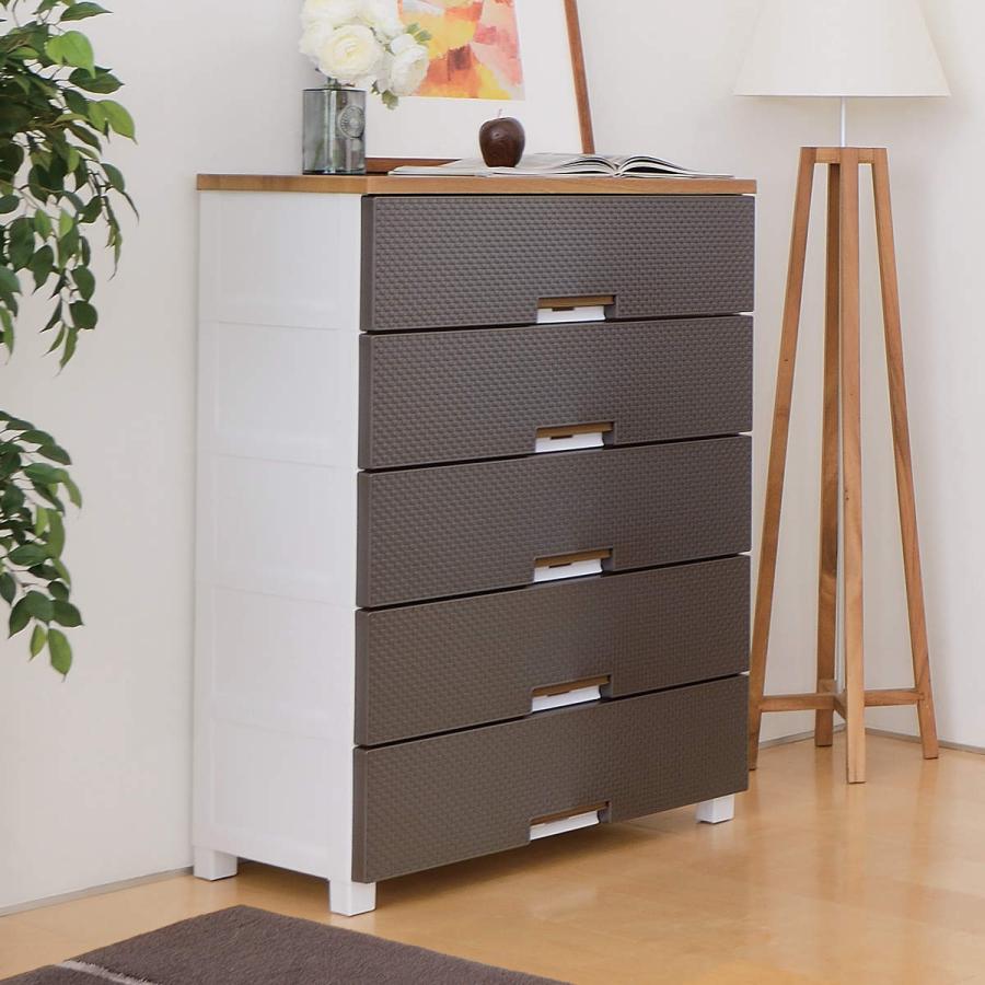 フィッツ　メッシュ　5段　75㎝ フィッツプラスメッシュ 幅75高さ105cm・5段 通販 - ディノス