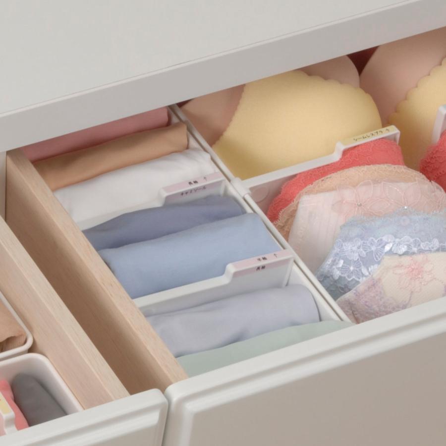 イノマタ化学 仕切りボックス 下着収納ケース M 仕切り付 幅29.2×奥行