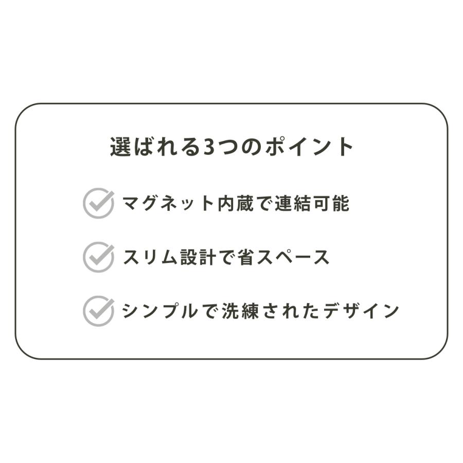 ハンガー スリム SLICEハンガー 3本組 （ 衣類ハンガー マグネット内蔵