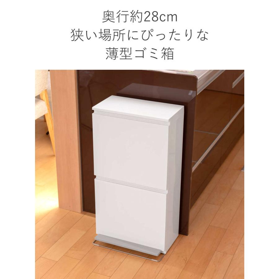 アスベル ゴミ箱 40L 2段 薄型 ワイド 分別 ( 40リットル アスベル ゴミ箱 40L 2段 薄型 ワイド 分別 ( 40リットル