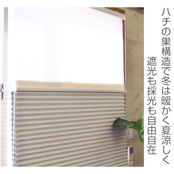 シェード カーテン ハニカムシェードペアタイプ 180×180cm （ 日よけ