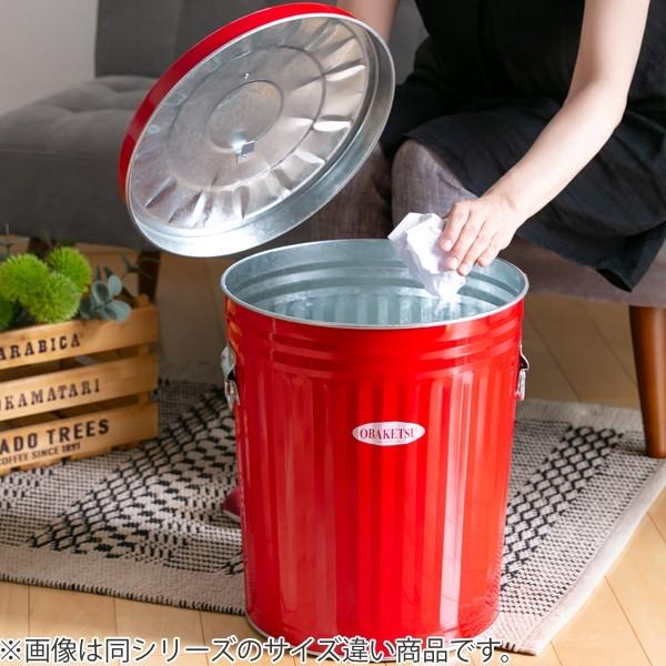 ダストボックス 1分別 ごみ箱 日本製 幅 26 奥行 42 高さ 85 しろ Amazon｜ゴミ箱 日本製 ダストボックス キッチンカウンター 1