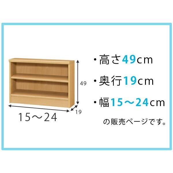 オーダー本棚 標準棚板タイプ 幅15-24cm 奥行19cm 高さ49cm （ 本棚 壁面収納 オーダー オーダーメイド 収納棚 日本製 ）｜colorfulbox｜02