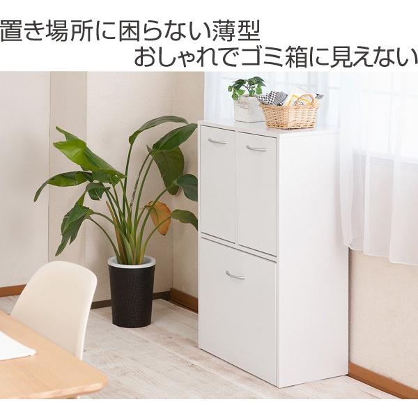 分別ゴミ箱 2段3分別 キッチン収納 Face 幅約55cm ごみ箱 ダストボックス ダストbox 資源ゴミ 分別 キッチン 家具調 fy0028 お弁当グッズのカラフルボックス 通販 Yahoo ショッピング