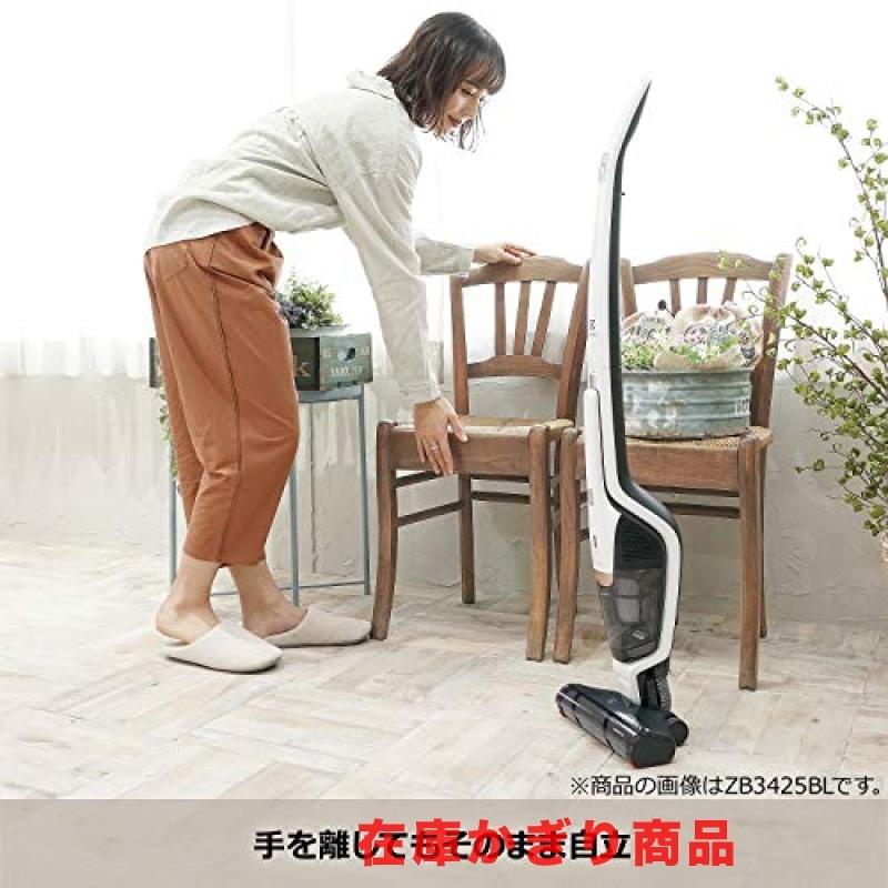 Electrolux(エレクトロラックス)エルゴラピードパワープロ