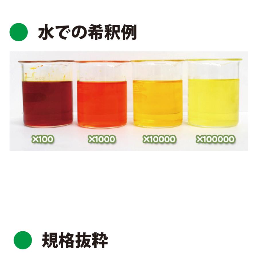 クチナシ黄色素　クロシンP-1900　 600g（高濃度粉末） / ダイワ化成製の天然食紅（天然由来の食用色素）_1