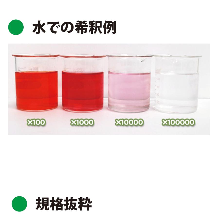 コチニール色素 コチニールレッドAL 2kg（液状） / ダイワ化成製の天然