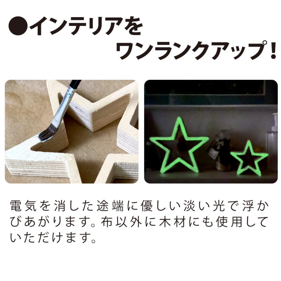 お試しサイズ 蓄光 光る 塗料 光る塗料 布用絵の具かけるくん！蓄光