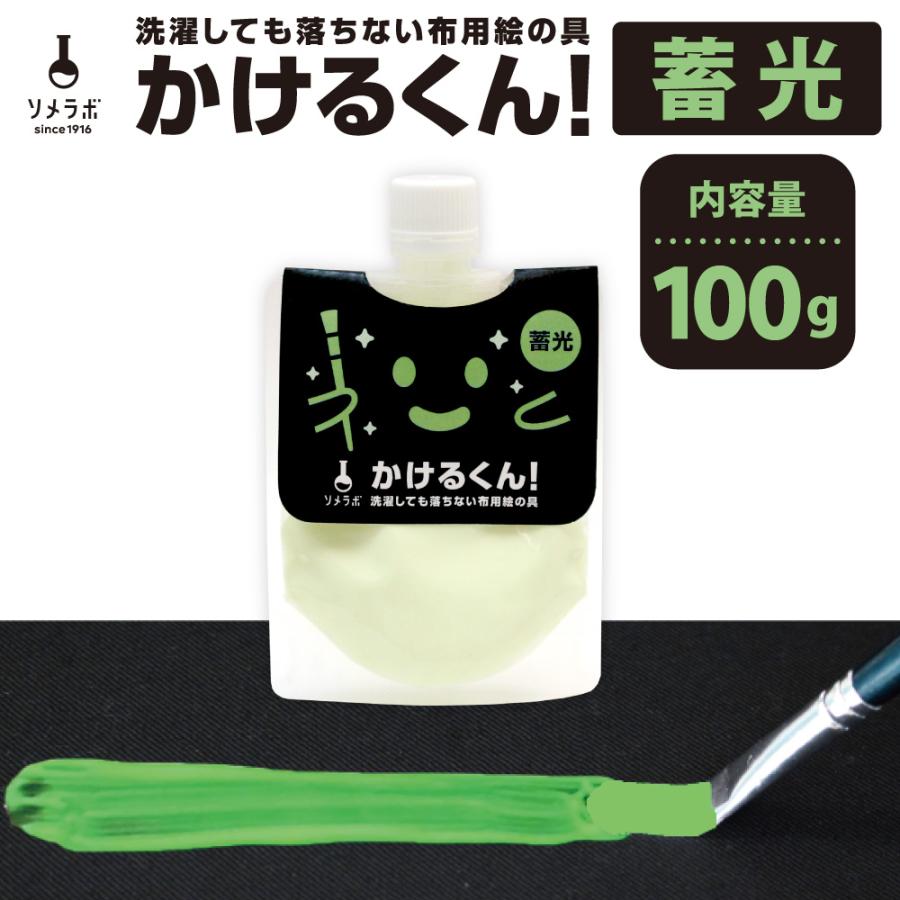 大容量 蓄光 光る 塗料 光る塗料 布用絵の具かけるくん！蓄光 100g 高 