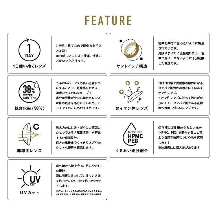 カラコン ワンデー 度あり みちょぱ 池田美優 ドープウィンク 1箱10枚入り 14.5mm BC8.6 GAL盛りハーフ系 1日使用 | DopeWink | 17