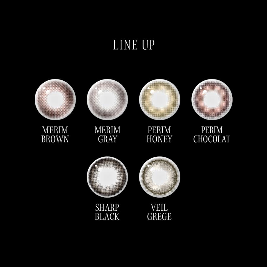 【30%OFFクーポン配布中】カラコン 1ヶ月 envie 1month アンヴィ マンスリー 1箱2枚入り 度あり 度なし 直径14.2mm BC8.6 | envie | 01