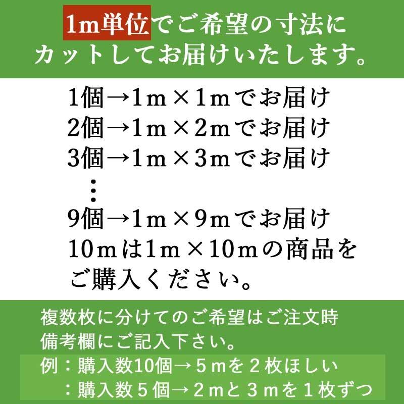 人工芝 芝生 ロール 幅1m 長さ1m単位 切り売り 芝丈mm 高級人工芝 高品質 リアル 人工芝生 2 1010 Diyインテリアのお店 Colorspro 通販 Yahoo ショッピング