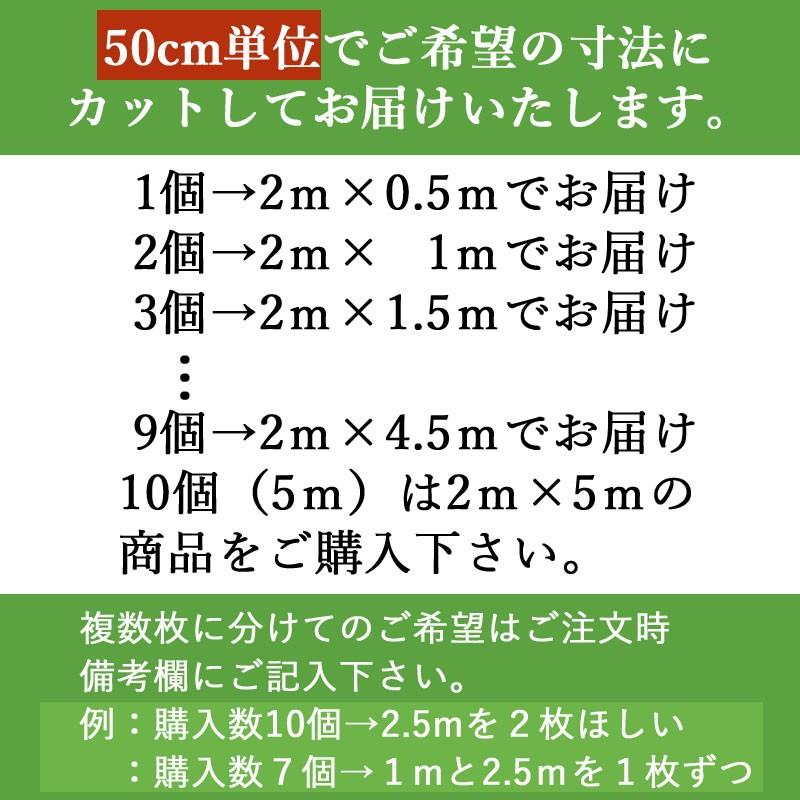 人工芝 芝生 ロール 幅2m 長さ50cm単位 切り売り 芝丈20mm 高級人工芝