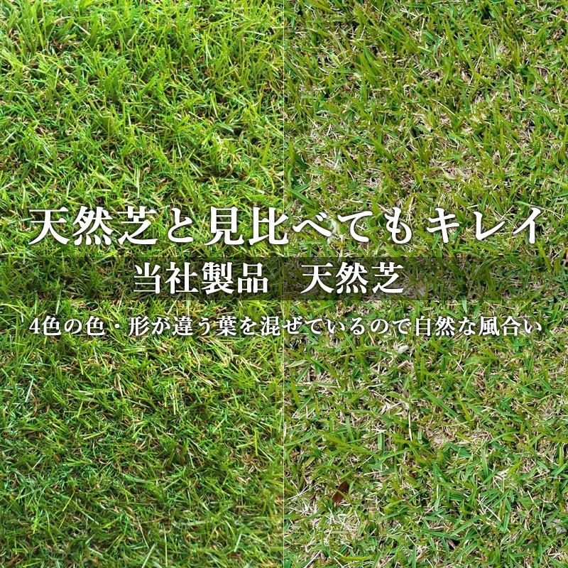 人工芝 高品質 防炎 リアル 芝丈40mm 1m×10m ロール 長寿命 高耐久 高