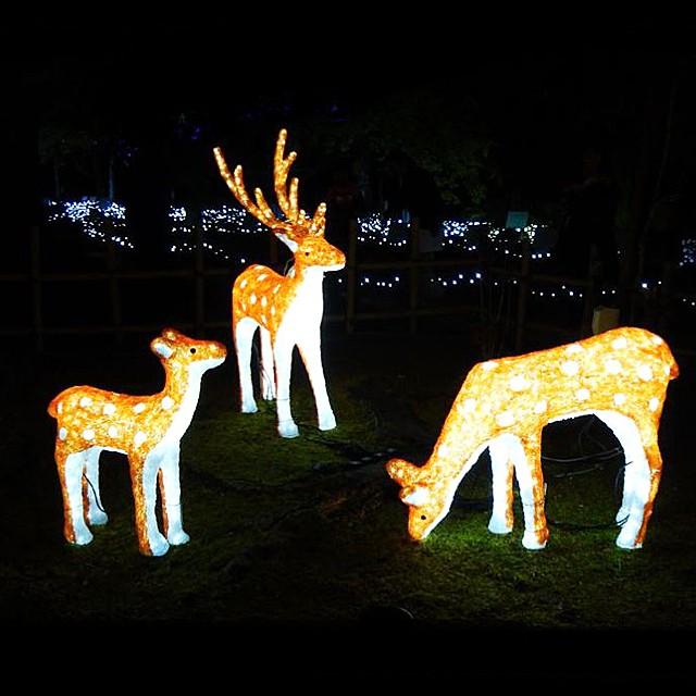 業務用　イルミネーション　モチーフ　３D　防滴　クリスマス　動物　D　屋外　LED　シカ　鹿　クリスタルグロー　奈良