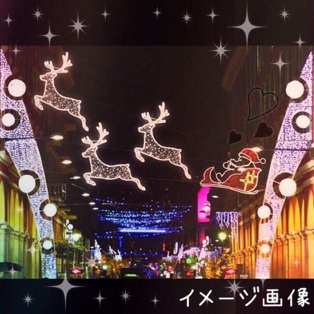 業務用 イルミネーション 大型モチーフ 2D クリスマス 屋外 防雨 LED 
