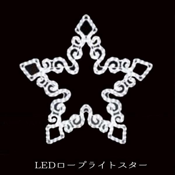 業務用 イルミネーション モチーフ ２D クリスマス 屋外 防雨 LEDロープライト スター