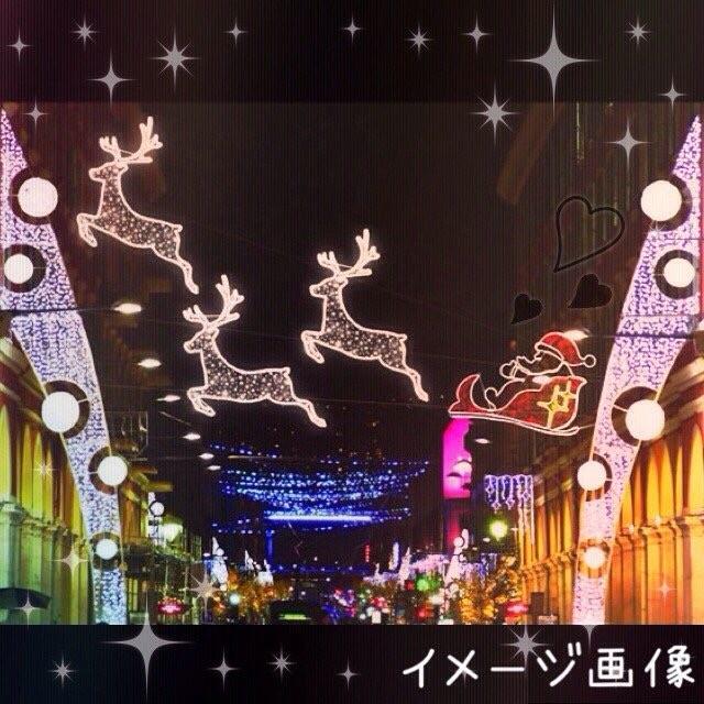 業務用 イルミネーション 大型モチーフ ２D クリスマス 屋外 防雨 LED ロープライト ジャンピングトナカイ 大_1