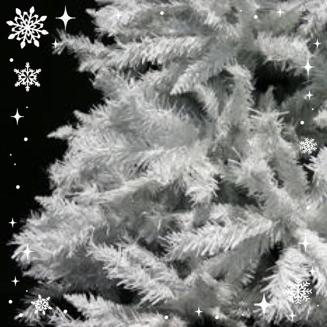 業務用 クリスマスツリー 屋外使用可能 ホワイトツリー 2m : DIY