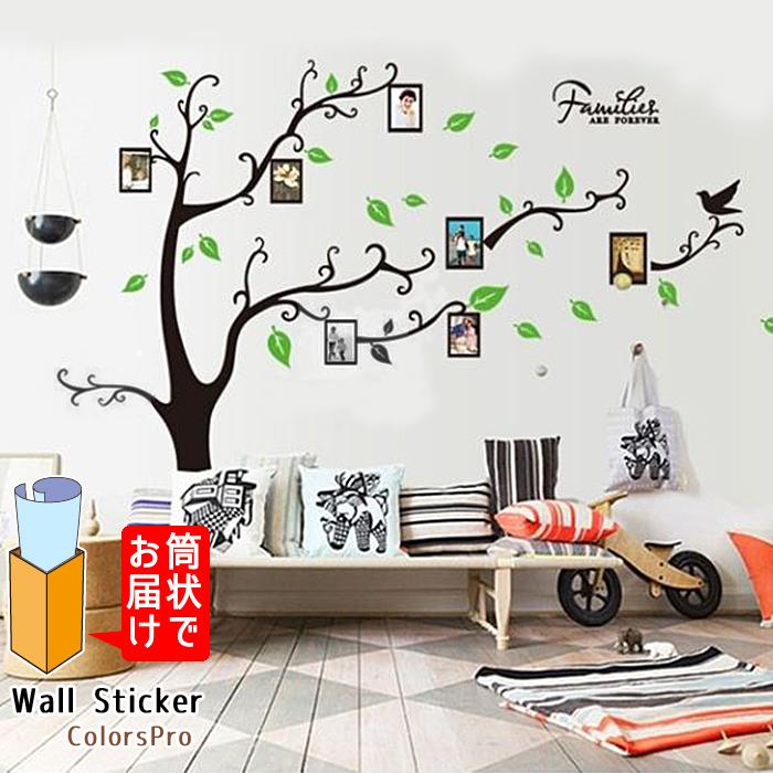 Amazon.co.jp: Collins Painting 