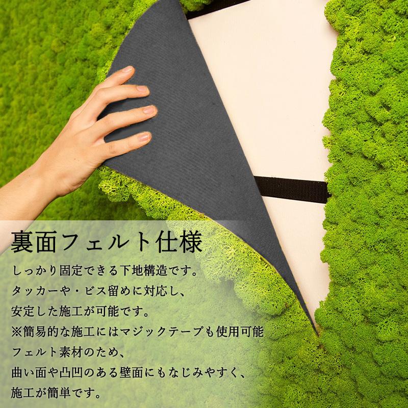 壁面緑化 天然 *モスウォール* 北欧フィンランド ウォールグリーン 40