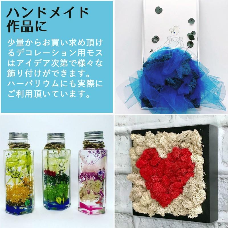 モス レインディアモス 200g フィンランドモス グリーンモス コケ 苔