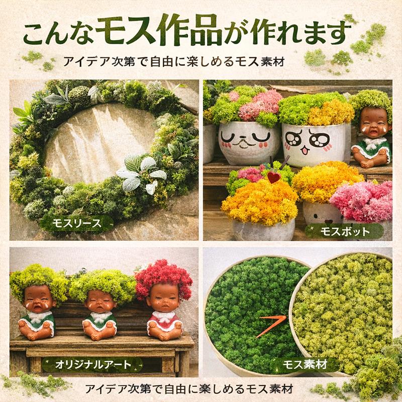モス フィンランドモス レインディアモス 50g カラーモス ハーバリウム