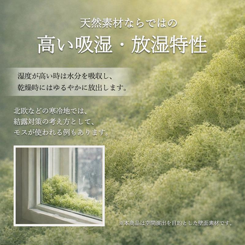 モス フィンランドモス レインディアモス 50g カラーモス ハーバリウム