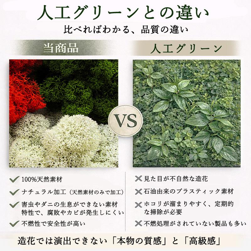 モス フィンランド製 レインディアモス 1kg カラーモス グリーンモス