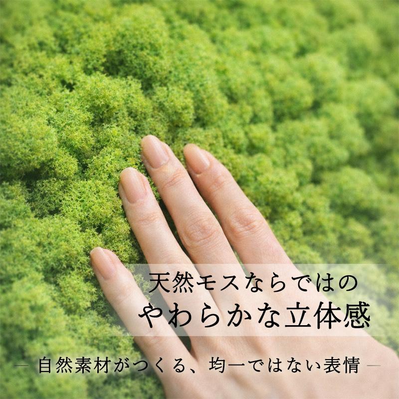 モスウォール ポイント5倍 壁面緑化 壁面緑化パネル 78 58cm 2枚セット 天然 モス グリーンウォール ウォールグリーン プリザーブド グリーンパネル 壁掛け 防音 インテリアグリーン レインディアモス 天然 苔 MOSSWALL 苔壁パネル モスパネル モスウォール DIY