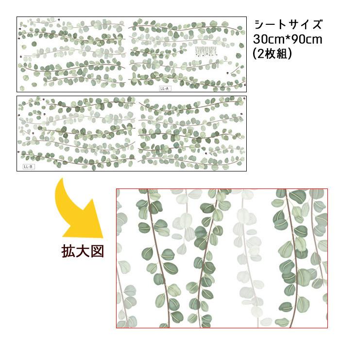 ウォールステッカー 観葉植物 自然  ダイコンドラ ディコンドラ 垂れ下がる植物 グリーンカーテン グリーン はがせる 壁飾り カフェ インテリアシール メール便｜colors-pro｜05