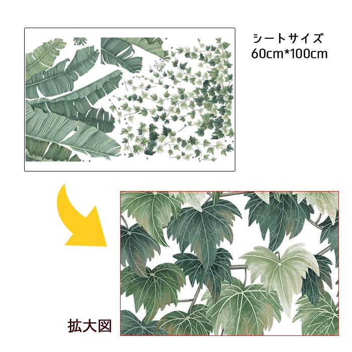 ウォールステッカー 観葉植物 グリーン 葉っぱ ストレリチア アイビー ツタ ナツヅタ 夏 南国 はがせる 壁飾り カフェ インテリアシール Ws Sk11b Diyインテリアのお店 Colorspro 通販 Yahoo ショッピング
