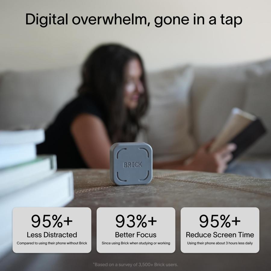 The Brick スマホ依存対策 スマートフォンアクセスブロッカー スマホ