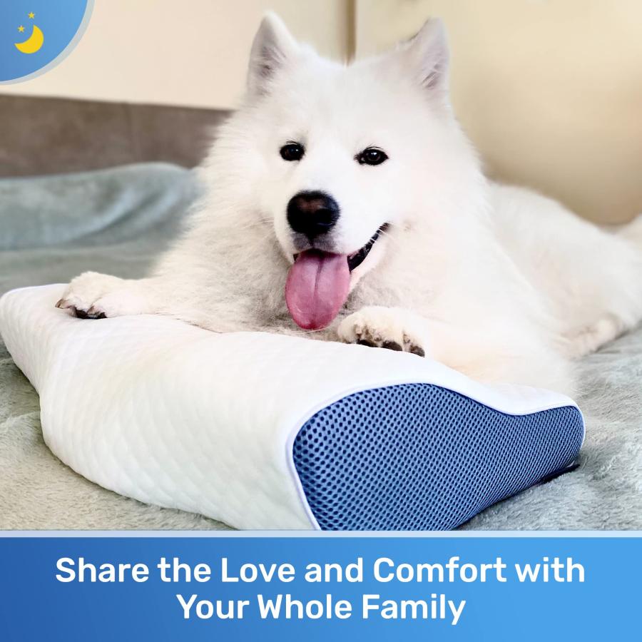 Derila King Size デリラ キングサイズ 枕 頸部ネックピロー 睡眠 人間