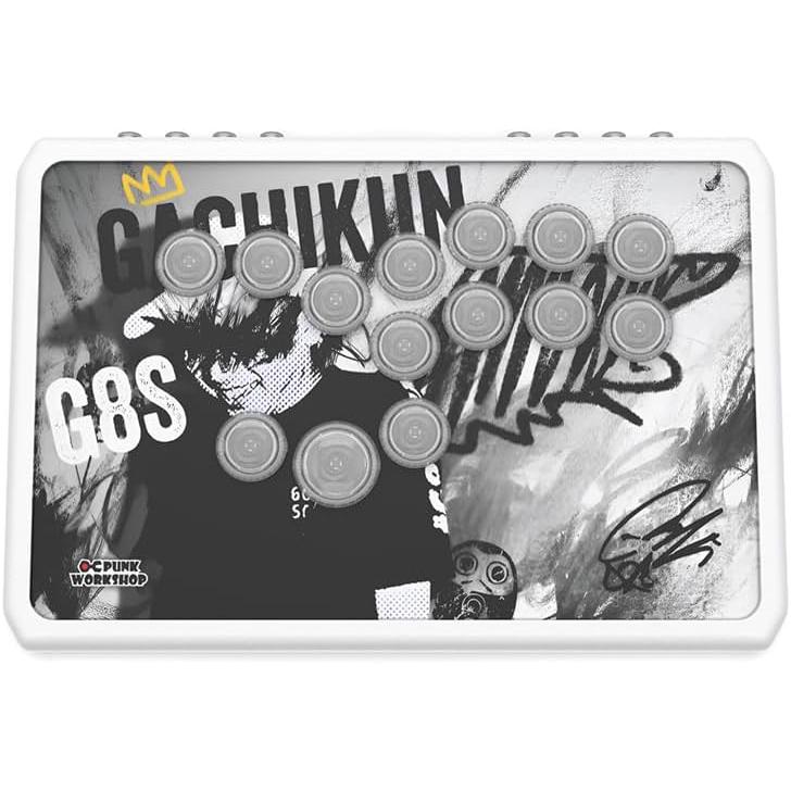 Punk Workshop PWS R14 パンクワークショップ アケコン レバーレス
