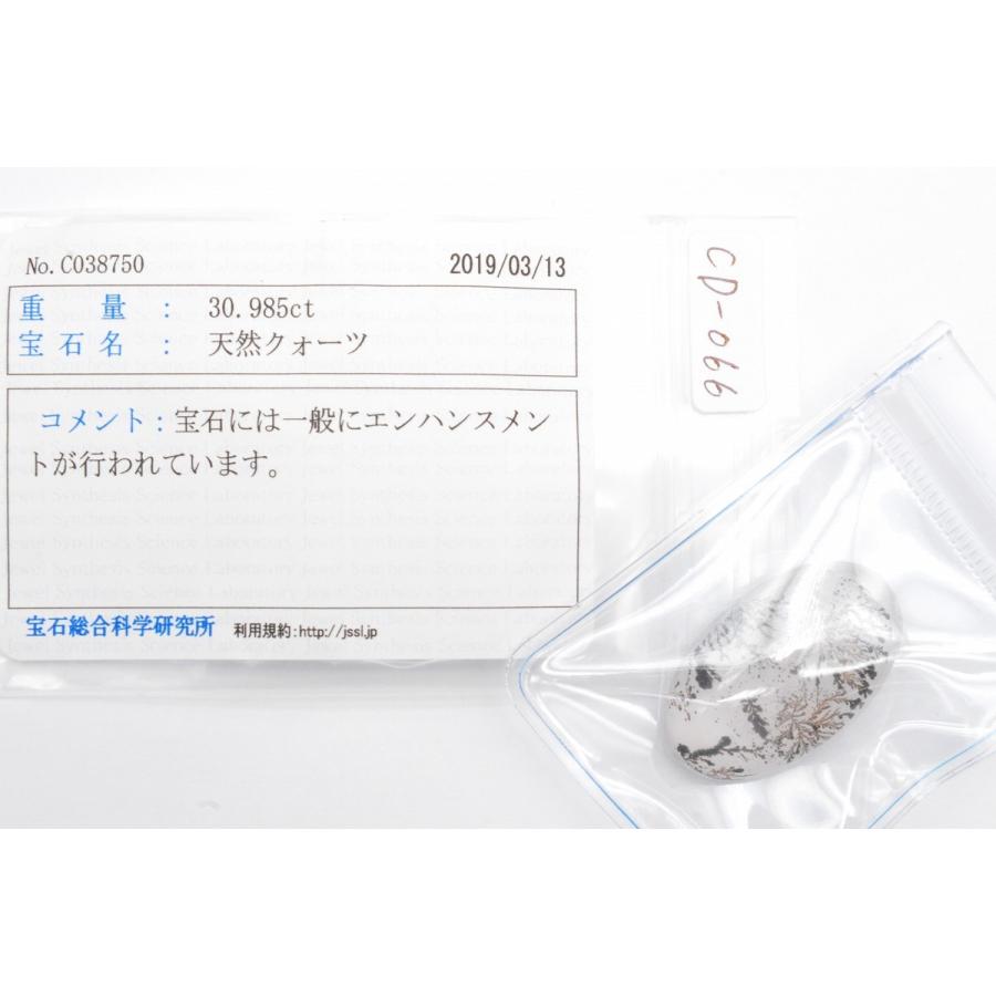 自然の奇跡！天然デンドリチッククォーツ【デンドライト】 30.985ct 