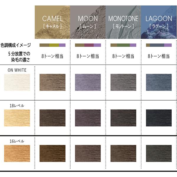 hoyu ホーユー IROJIKAKE （イロジカケ）ベージュライン ムーン 80g  